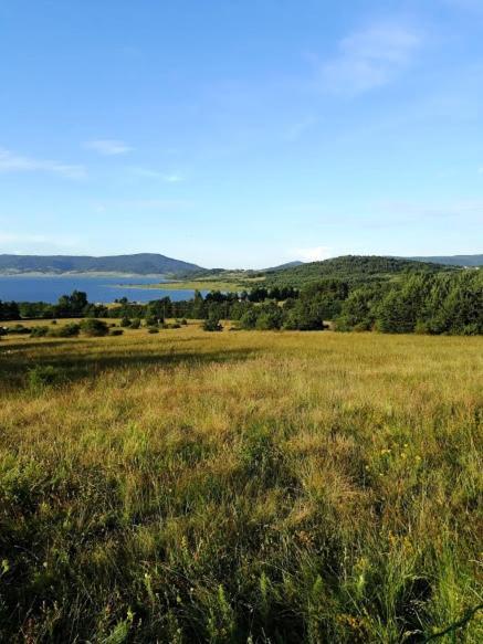 Вили Green Tsigov Chark Exterior photo